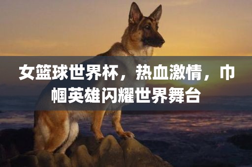 女篮球世界杯，热血激情，巾帼英雄闪耀世界舞台吉安市靖泰电力工程有限公司