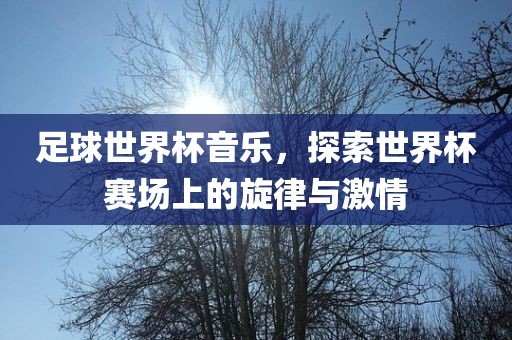 足球世界杯音乐，探索世界杯赛场上的旋律与激情