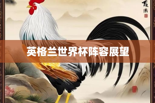 英格兰世界杯阵容展望