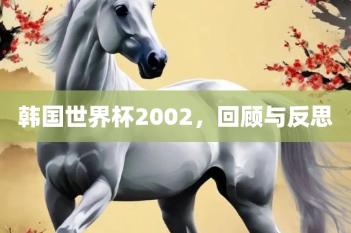 韩国世界杯2002，回顾与反思