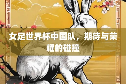 女足世界杯中国队，期待与荣耀的碰撞