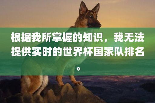 根据我所掌握的知识，我无法提供实时的世界杯国家队排名。