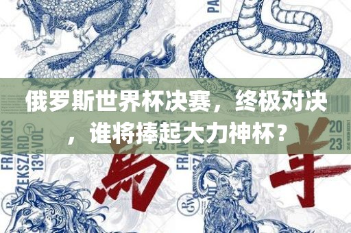 俄罗斯世界杯决赛，终极对决，谁将捧起大力神杯？