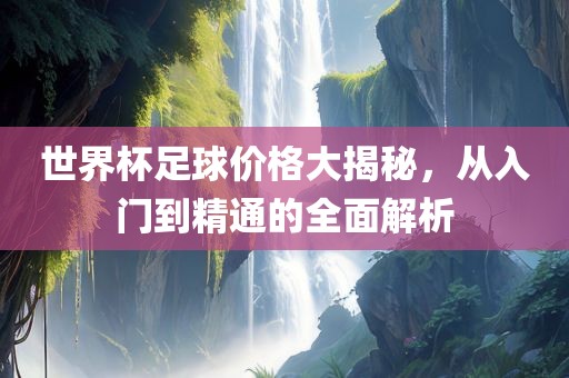 世界杯足球价格大揭秘，从入门到精通的全面解析
