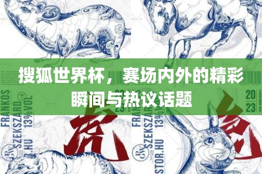 搜狐世界杯，赛场内外的精彩瞬间与热议话题