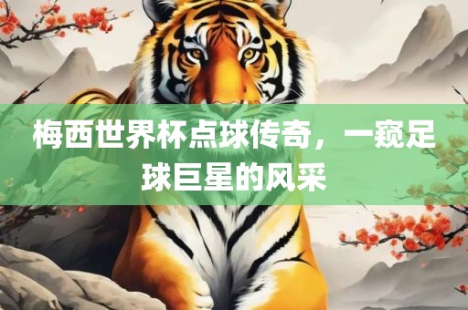 梅西世界杯点球传奇，一窥足球巨星的风采