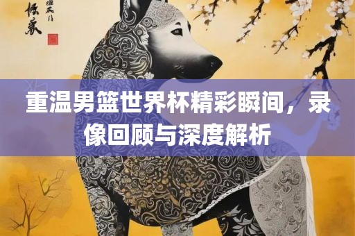 重温男篮世界杯精彩瞬间，录像回顾与深度解析吉安市靖泰电力工程有限公司