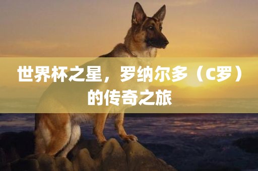 世界杯之星，罗纳尔多（C罗）的传奇之旅