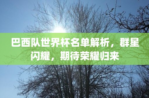 巴西队世界杯名单解析，群星闪耀，期待荣耀归来
