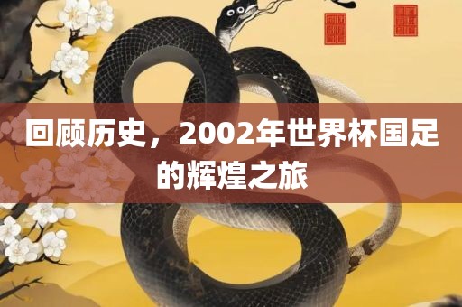 回顾历史，2002年世界杯国足的辉煌之旅吉安市靖泰电力工程有限公司