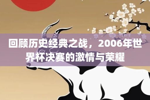 回顾历史经典之战，2006年世界杯决赛的激情吉安市靖泰电力工程有限公司与荣耀