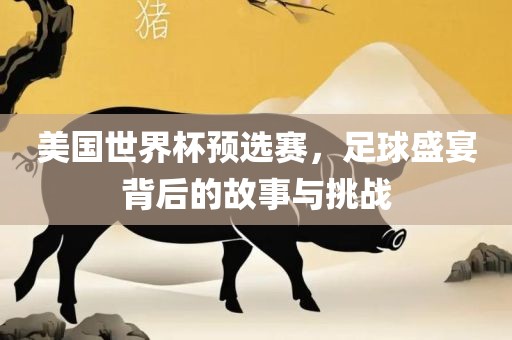 美国世界杯预选赛，足球盛宴背后的故事与挑战