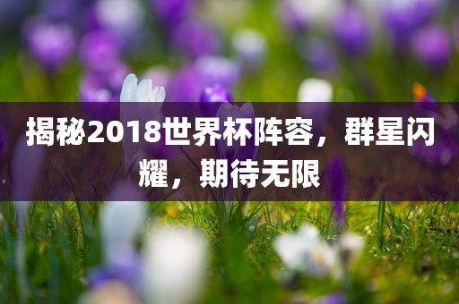 揭秘2018世界杯阵容，群星闪耀，期待无限