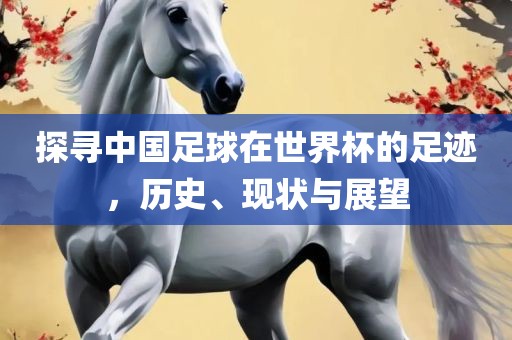探寻中国足球在世界杯的足迹，历史、现状与展望