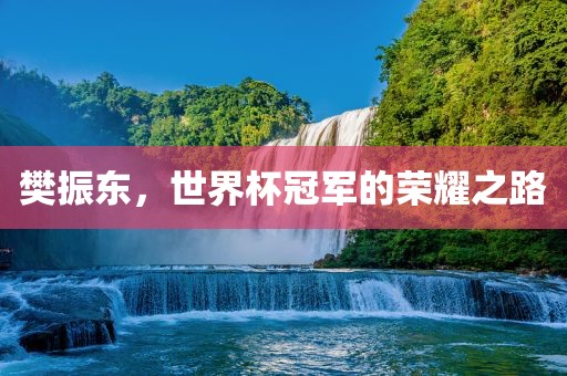 樊振东，世界杯冠军的荣耀之路