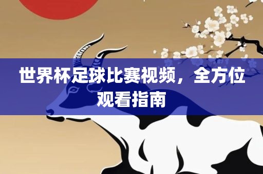世界杯足球比赛视频，全方位观看指南