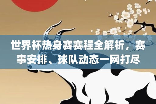 世界杯热身赛赛程全解析，赛事安排、球队动态一网打尽