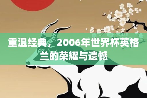 重温经典，2006年世界杯英格兰的荣耀与遗憾