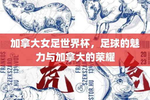 加拿大女足世界杯，足球的魅力与加拿大的荣耀