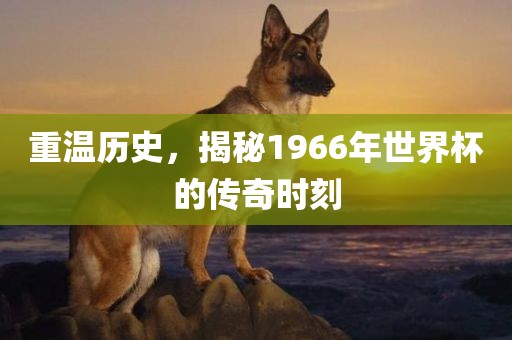 重温历史，揭秘1966年世界杯的传奇时刻吉安市靖泰电力工程有限公司