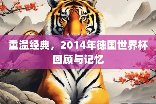 重温经典，2014年德国世界杯回顾与记忆