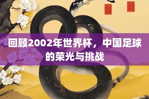 回顾2002年世界杯，中国足球的荣光与挑战