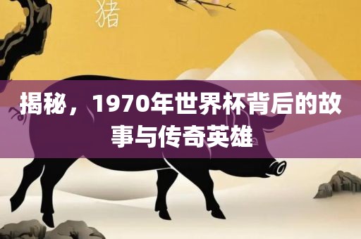 揭秘，1970年世界杯背后的故事与传奇英雄