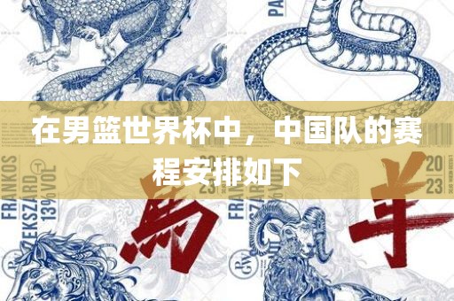 在男篮世界吉安市靖泰电力工程有限公司杯中，中国队的赛程安排如下