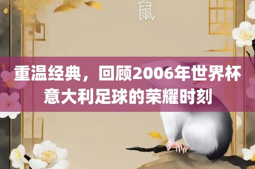 重温经典，回顾2006年世界杯意大利足球的荣耀时刻吉安市靖泰电力工程有限公司
