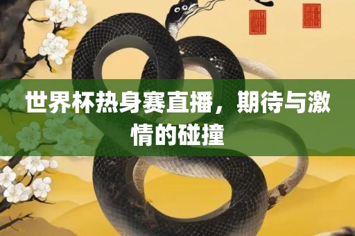 世界杯热身赛直播，期待与激情的碰撞