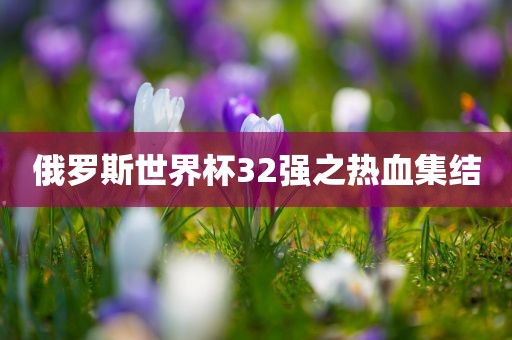 俄罗斯世界杯32强之热血集结