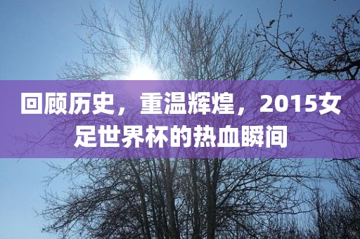 回顾历史，重温辉煌，2015女足世界杯的热血瞬间