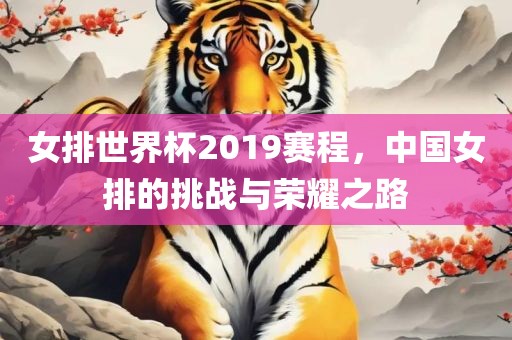 女排世界杯2019赛程，中国女排的挑战与荣耀之路