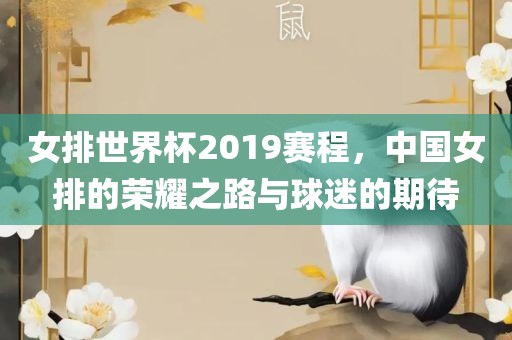 女排世界杯2019赛程，中国女排的荣耀之路与球迷的期待
