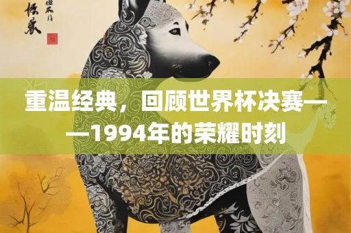 重温经典，吉安市靖泰电力工程有限公司回顾世界杯决赛——1994年的荣耀时刻