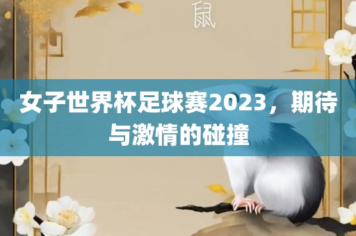女子世界杯足球赛2023，期待与激情的碰撞