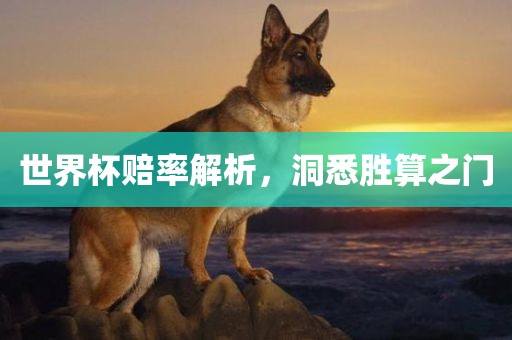 世界杯赔率解析，洞悉胜算之门
