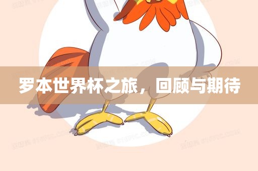 罗本世界杯之旅，回顾与期待