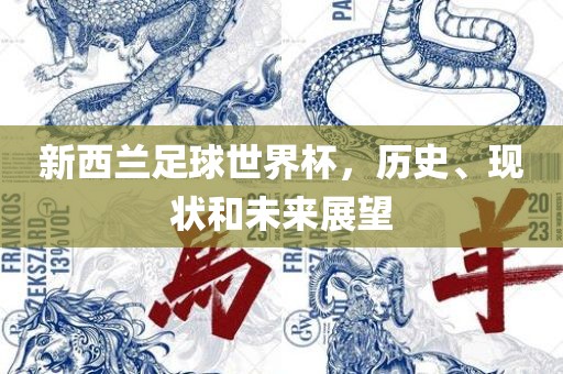 新西兰足球世界杯，历史、现状和未来展望