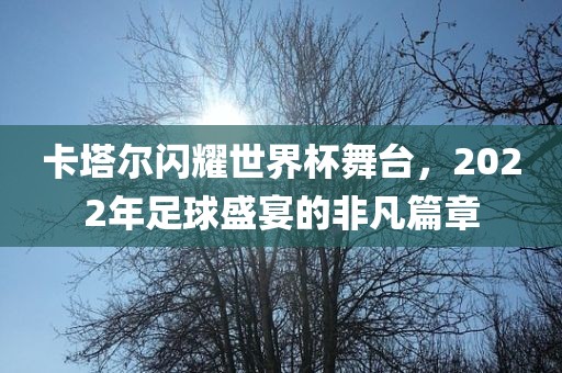 卡塔尔闪耀世界杯舞台，2022年足球盛宴的非凡篇章