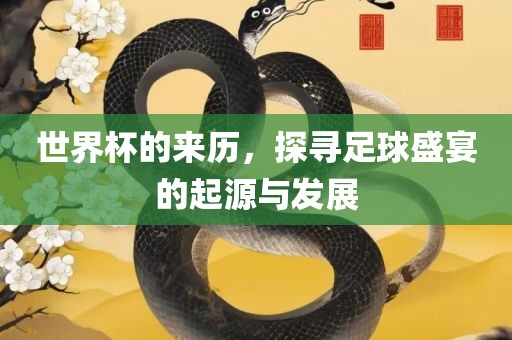 世界杯的来历，探寻足球盛宴的起源与发展吉安市靖泰电力工程有限公司