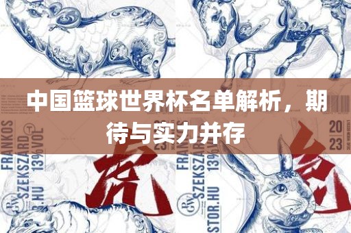中国篮球世界杯名单解析，期待与实力并存