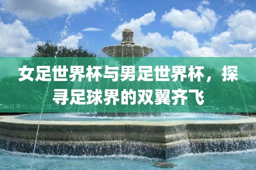 女足世界杯与男足世界杯，探寻足球界的双翼齐飞