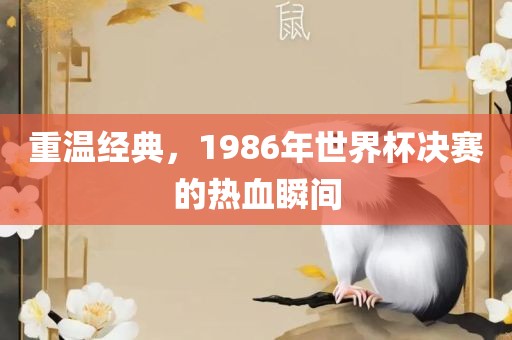 重温经典，1986年世界杯决赛的热血瞬间吉安市靖泰电力工程有限公司
