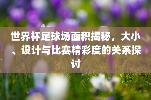 世界杯足球场面积揭秘，大小、设计与比赛精彩度的关系探讨