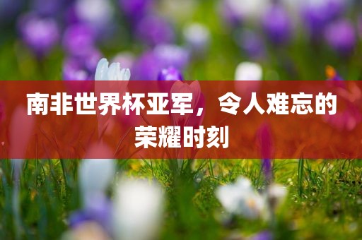 南非世界杯亚军，令人难忘的荣耀时刻