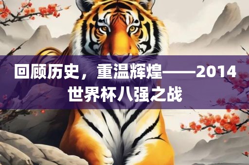 回顾历史，重温辉煌——2014世界杯八强之战