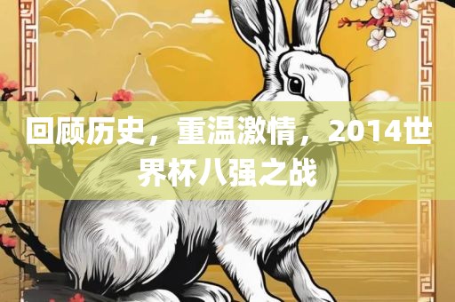 回顾历史，重温激情，2014世界杯八强之战