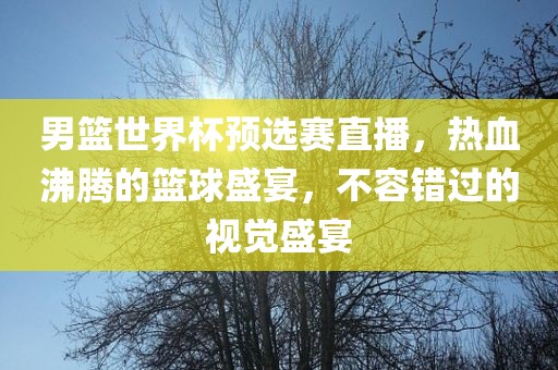 男篮世界杯预选赛直播，热血沸腾的篮球盛宴，不容错过的视觉盛宴
