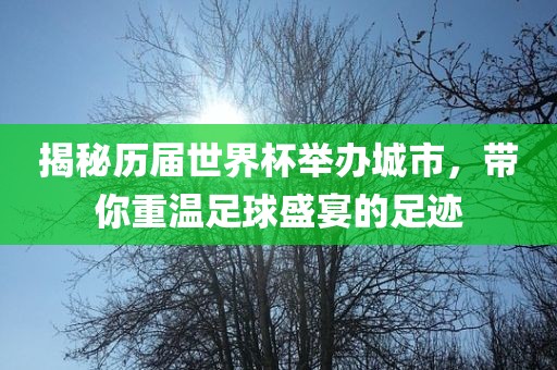 揭秘历届世界杯举办城市，带你重温足球盛宴的足迹